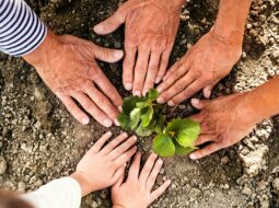 Giving as a Legacy How to Build a Lasting Philanthropic Footprint